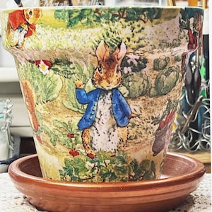May include: A decorative terracotta flower pot featuring a Peter Rabbit design. The pot has a detailed illustration of Peter Rabbit in a blue jacket, surrounded by garden scenes. Includes a matching saucer.
