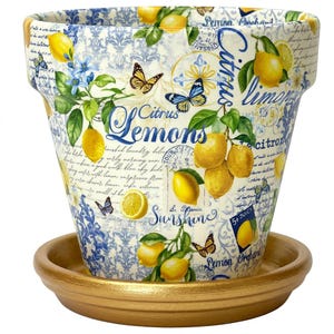May include: A decorative ceramic flower pot with a matching saucer. The pot features a design of lemons, butterflies, and the words "Citrus Lemons" and "Sunshine". The saucer is gold-coloured.