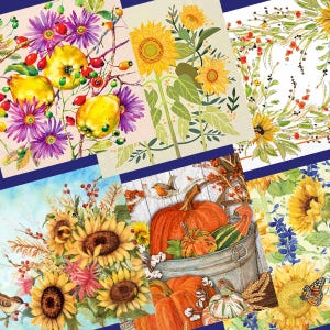 Puede incluir: Una colección de servilletas de papel decorativas con varios diseños temáticos de otoño. Las servilletas presentan ilustraciones de girasoles, calabazas, bayas y arreglos florales en colores vibrantes. Cada servilleta tiene un diseño único.