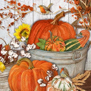 May include: An autumnal illustration showing a metal bucket filled with pumpkins, gourds, and a sunflower. A small bird perches on a pumpkin. The background features white wooden planks and branches with berries.