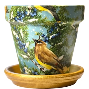 May include: A decorative flower pot with a matching saucer. The pot features a light blue background with illustrations of birds, berries, and evergreen branches. The saucer has a gold metallic finish. A charming addition to any home.