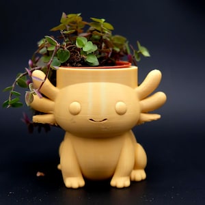 Puede incluir: Una maceta con forma de ajolote de color amarillo claro que contiene una pequeña planta con hojas verdes y moradas. La maceta tiene una cara sonriente y cuatro apéndices a cada lado. El fondo es de color oscuro y liso.