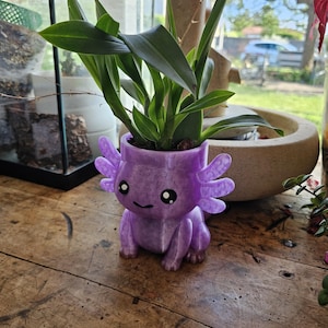 Peut inclure: Un pot de fleur violet en forme d'axolotl contenant une plante verte. Le pot a un visage souriant et des branchies détaillées. La plante a de longues feuilles vertes. Le pot est posé sur une surface en bois.