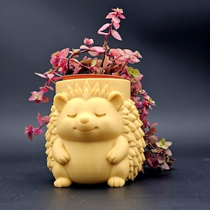 Puede incluir: Una maceta de erizo de color beige con una cara sonriente, que sostiene una pequeña planta con hojas rosas. La maceta tiene un exterior texturizado y está llena de tierra. La planta tiene pequeñas flores rosas.