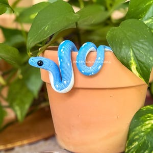 Könnte beinhalten: Eine leuchtend blaue Schlangenfigur mit weißen Flecken und einem weißen Bauch, die ein strukturiertes Schuppenmuster und ein schwarzes Auge aufweist. Die Schlange ist über den Rand eines terrakottafarbenen Blumentopfs gewickelt mit dem Text michuus.creations.
