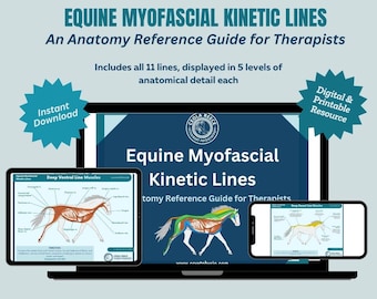 May include: A digital download of an equine myofascial kinetic lines anatomy reference guide for therapists. The guide includes 11 lines displayed in 5 levels of anatomical detail. The image shows a laptop with a digital illustration of a horse's anatomy on the screen. The image also includes two smaller screens with additional illustrations of the horse's anatomy.