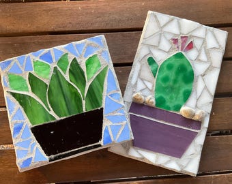 DIY Mosaic Succulent Kit: Stained Glass Craft Kit for Adults