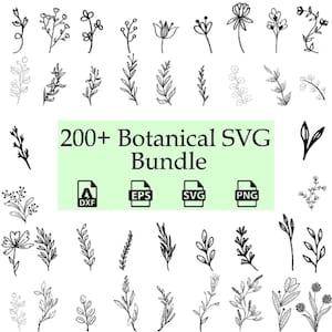 Botanical SVG Bundle | Floral And  Flower Clipart | Leaves & Branches SVG | Hand-Drawn Designs for Commercial Us