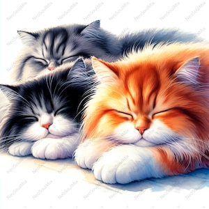 14 Katzen Illustrationen | Feline Zuneigung Clipart-Set | Druckbare Aquarell Clipart | Hochwertige JPGs | Digitaler Download | Papierhandwerk