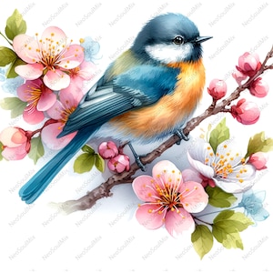 Pacote com 36 cliparts de pássaros florais | Cliparts de pássaros da primavera | Gráficos de pássaros em flor | Cliparts de pássaros em galhos | Download digital, JPGs de alta qualidade