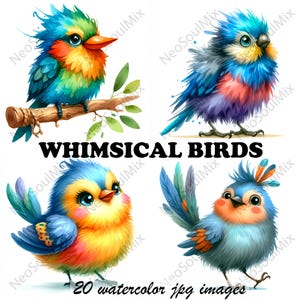 20 Whimsical Birds Clipart | Funny Birds | Printable Watercolor clipart | High Quality JPGs | Digital download | Paper craft | junk journal