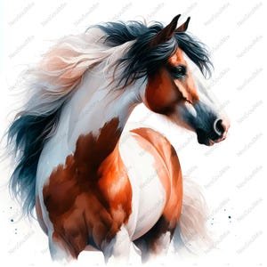 30 Horse Clipart bundle JPG, High Quality,Digital Download,Card Making,Mixed Media,Digital Paper Craft,Watercolor clipart, watercolour horse
