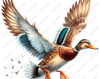 26 imágenes prediseñadas de pato real / Patos voladores para la temporada de caza de patos / Imágenes prediseñadas de acuarela imprimibles / JPG de alta calidad / Manualidades de papel / Diario