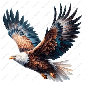 23 Weißkopfseeadler Clipart Bundle | Majestätisch Adler Clipart | Druckbare Aquarell Clipart | Hochwertige JPGs | Digitaler Download | Papierkunst