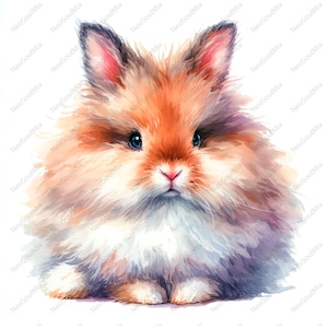 24 JPGs Puszysty Króliczek Clipart | Uroczy Królik Clipart | Wydrukowalny Akwarela Clipart | Wysokiej Jakości JPGs | Pobieranie Cyfrowe | Rękodzieło Papierowe