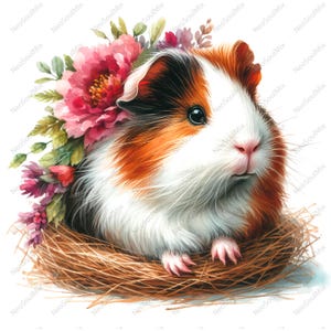 23 cliparts aquarelle mignon cochon d'Inde | Cochon d'Inde mignon | Clipart aquarelle imprimable | JPG de haute qualité | Créations en papier | Journal indésirable
