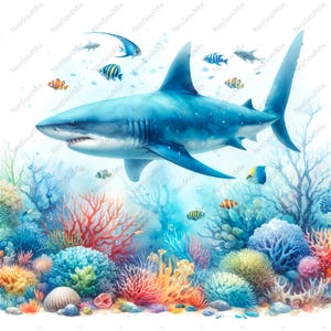 24 Shark Clipart | Graphics Shark | Shark clipart Illustration | Digital Download | Hummingbird design | High Quality JPGs | Junk Journal