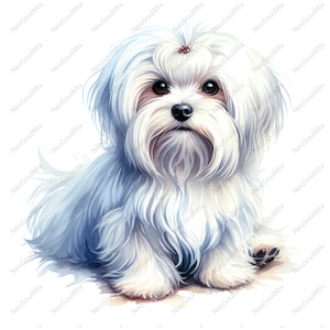 26 Maltese Dog Clipart | Printable Watercolor Clipart | High Quality JPGs | Paper Craft, Junk Journal, Maltese Dog Illustration