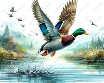 25 imágenes prediseñadas de pato real / Patos voladores para la temporada de caza de patos / Imágenes prediseñadas de acuarela imprimibles / JPG de alta calidad / Manualidades de papel / Diario