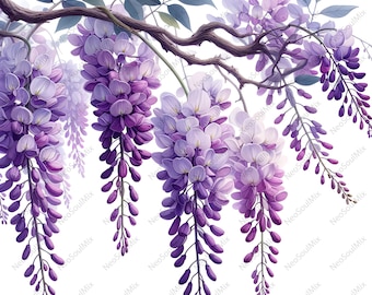 il_340x270.7057389670_ldtv.jpg