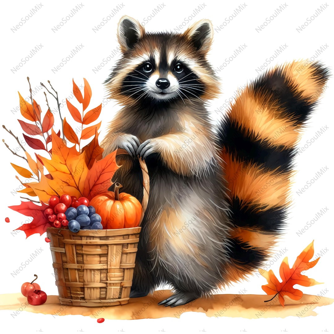 20 Cute Fall Raccoons Clipart | Watercolor Autumn Raccoon | High ...