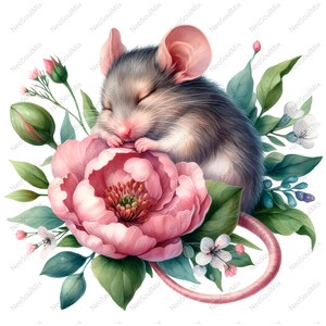 31 bloemen muis clipartbundel, schattige muis clipart, muissublimatie, aquarel muis clipart, schattige muizen, schattige muis clipartbundel