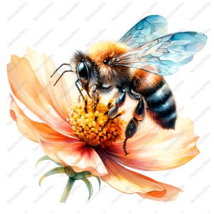 21 Bees and Flowers | Floral Bees Clipart | Printable Watercolor clipart | High Quality JPG | Digital download | Paper craft | junk journal