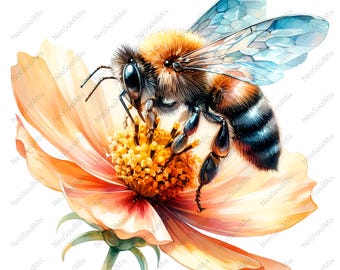 21 Bees and Flowers | Floral Bees Clipart | Printable Watercolor clipart | High Quality JPG | Digital download | Paper craft | junk journal