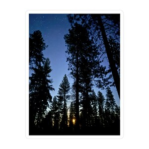 May include: A sticker depicting a forest at night. The dark silhouettes of tall pine trees are set against a starry, blue sky. The sun sets behind the trees, creating a warm, golden glow.