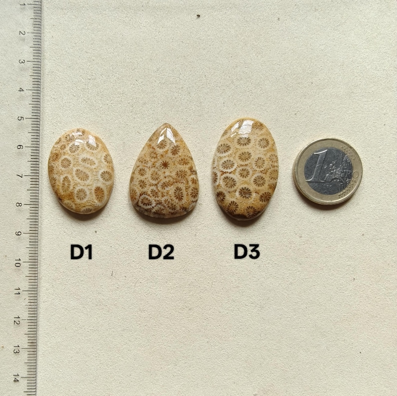 Op de afbeelding: Drie gepolijste fossiele koraal cabochons gelabeld D1, D2 en D3, met een beige en cr&egrave;me bloemmotief. D1 is ovaal, D2 is druppelvormig en D3 is ovaal. Een liniaal toont de schaal in centimeters en een munt van &eacute;&eacute;n euro geeft de grootte aan.