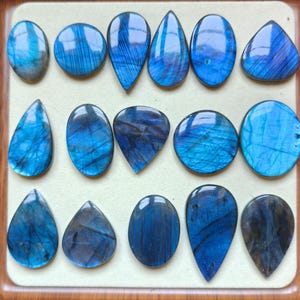 Op de afbeelding: Een verzameling van zestien gepolijste labradoriet edelstenen gerangschikt in drie rijen. Deze cabochons hebben verschillende vormen, waaronder ovalen, cirkels en druppels, die allemaal iriserende blauwe flitsen en donkere insluitingen vertonen.