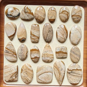 Op de afbeelding: Een verzameling van eenentwintig gepolijste edelstenen in verschillende vormen, waaronder ovalen, druppels en rechthoeken. De stenen hebben een natuurlijk kleurenpalet van beige, bruin en crème, met unieke patronen en strepen. De edelstenen worden gepresenteerd op een lichtbeige oppervlak.