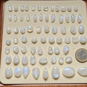 Peut inclure: Une collection de pierres de lune polies de différentes formes et tailles, dont ovales, en goutte et rondes. Les pierres présentent une couleur blanc laiteux avec des reflets bleus et arc-en-ciel irisés. Une pièce d'un euro est incluse pour la référence de taille.