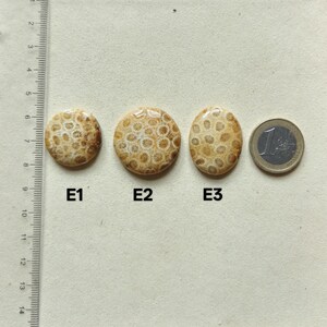 Op de afbeelding: Drie gepolijste fossiele koraal cabochons met de labels E1, E2 en E3, voorzien van een beige en cr&egrave;me bloemmotief. Een verticale liniaal toont een schaal in centimeters en een munt van &eacute;&eacute;n euro ligt naast de stenen voor een maatvergelijking.