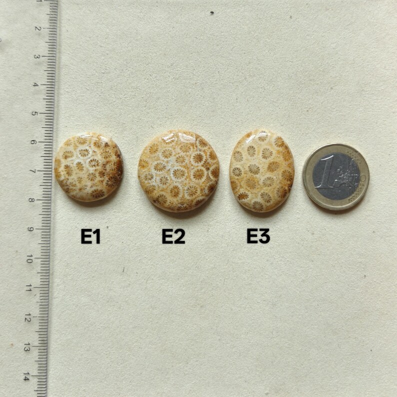 Op de afbeelding: Drie gepolijste fossiele koraal cabochons met de labels E1, E2 en E3, voorzien van een beige en cr&egrave;me bloemmotief. Een verticale liniaal toont een schaal in centimeters en een munt van &eacute;&eacute;n euro ligt naast de stenen voor een maatvergelijking.
