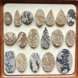 Peut inclure: Une collection de pierres d'agate dendritique polies de formes variées, dont des ovales, des gouttes et des cercles. Les pierres présentent des motifs complexes en forme de fougères dans des tons de brun, noir et beige, sur un fond beige clair. Les pierres sont présentées dans un plateau en bois.