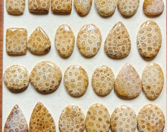 Fossil Coral Cabochon – square, rectangle, oval, round, teardrop