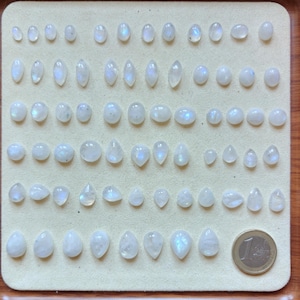 Könnte beinhalten: Eine Sammlung polierter Mondstein-Cabochons in verschiedenen Formen wie oval, marquise, rund und tropfenförmig, angeordnet in Reihen auf einem hellbeigen Display-Tablett neben einer Ein-Euro-Münze zum Größenvergleich, mit irisierenden blauen Reflexen.