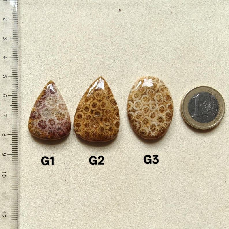 Op de afbeelding: Drie gepolijste fossiele koraal cabochons gelabeld G1, G2 en G3. G1 is druppelvormig met roodbruine tinten. G2 is druppelvormig met bruine tinten. G3 is ovaal met lichtbruine patronen. Een liniaal en een munt van &eacute;&eacute;n euro dienen als schaal.