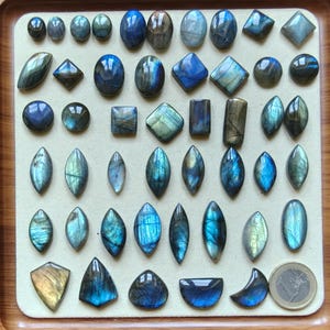 Può includere: Una collezione di pietre preziose in labradorite lucidata in varie forme, tra cui ovali, cerchi, diamanti e tagli a marquise, che mostrano riflessi iridescenti blu, dorati e grigi, disposte su un vassoio espositore chiaro con una moneta da un euro.