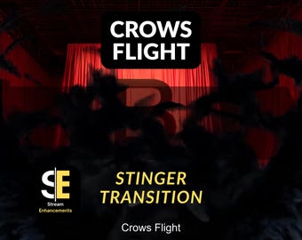 Crow's Flight Stinger Transition | Dark Wings VFX Optimized for Streaming