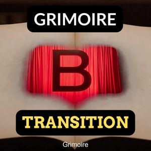 Może przedstawiać: Otwarta książka ze słowami "GRIMOIRE" i "TRANSITION" w czarnych ramkach. Czerwony wzór w kształcie serca z dużą literą "B" pośrodku jest punktem centralnym. Słowo "Grimoire" znajduje się na dole.