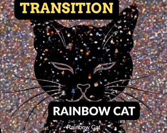 Rainbow Cat Stinger Transition | Glitter Sparkle VFX Optimized for Streaming
