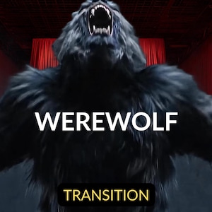Op de afbeelding: Een donkere, harige weerwolf met een open mond en ontblote tanden, armen geheven. Het woord "WEREWOLF" wordt in witte hoofdletters over de borst weergegeven. Het woord "TRANSITION" wordt in een gele rechthoek onderaan weergegeven.