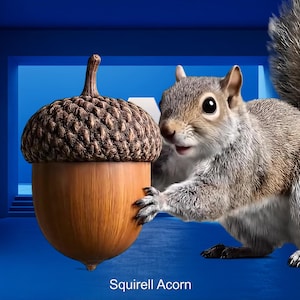 May include: A digitally created image of a gray squirrel holding a large acorn. The acorn is brown with a textured cap. The squirrel has a fluffy tail and is set against a blue background. The text "Squirrel Acorn" is at the bottom.