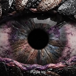 Puede incluir: Primer plano de un iris púrpura con una pupila negra, rodeado de elementos oscuros y texturizados. El iris presenta tonos de púrpura, azul y marrón. El texto "Purple Iris" es visible.