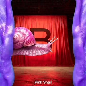 May include: A vibrant pink snail with a spiraled shell and long antennae is featured. The snail is set against a backdrop of a red curtain and a large letter "B". The text "Pink Snail" is at the bottom.