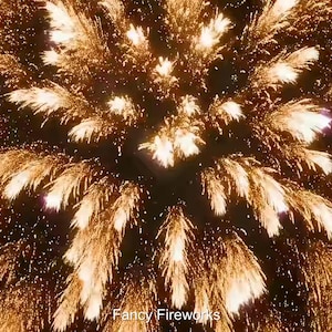 Puede incluir: Imagen vibrante de un espectáculo de fuegos artificiales, con una explosión de luz dorada y blanca sobre un fondo oscuro. El texto "Fancy Fireworks" es visible en la parte inferior.