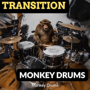 Puede incluir: Un mono marrón tocando una batería, con el texto "TRANSITION" y "MONKEY DRUMS" en negro y amarillo. La imagen está enmarcada en una lente ojo de pez circular.