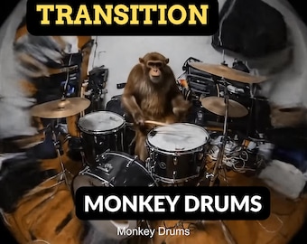 Transizione di stinger di Monkey Drums / Effetti visivi musicali divertenti ottimizzati per lo streaming